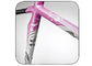 Lovely Girls / Womens Road Bike Frame 700C Aluminum Alloy 7005 Lightweight supplier
