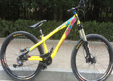 Colorful 4x Hardtail Am Bike Frame , Dj Bike Frame With Tapered Headtube supplier