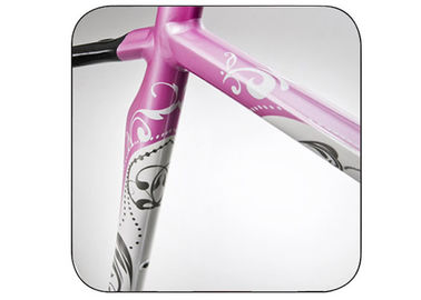 46cm / 49cm Girls Bike Frame , Smooth Welding Carbon Fiber Road Bike Frame supplier