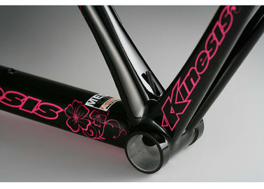 Compact Structure Ladies Road Bike Frame 49cm With Inner Cable Routing supplier