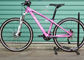 26er Aluminum Alloy Ladies Bike Small Frame , Pink Ladies Mtb Frame supplier