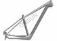 Lightweight Hardtail Full Carbon Bike Frame Customized Painting Design supplier