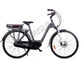 China City Black Step Through Custom Electric Bike 250w 120 Kg Load Capacity exporter